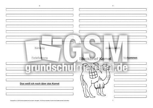 Kamel-Faltbuch-vierseitig-3.pdf